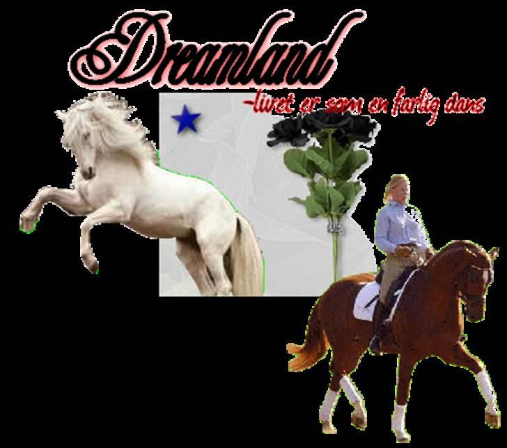 Billeder jeg har lavet  billede 18