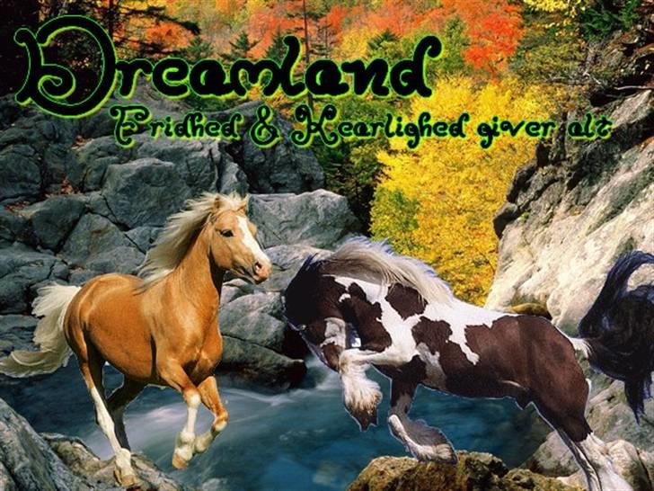 Billeder jeg har lavet  billede 19