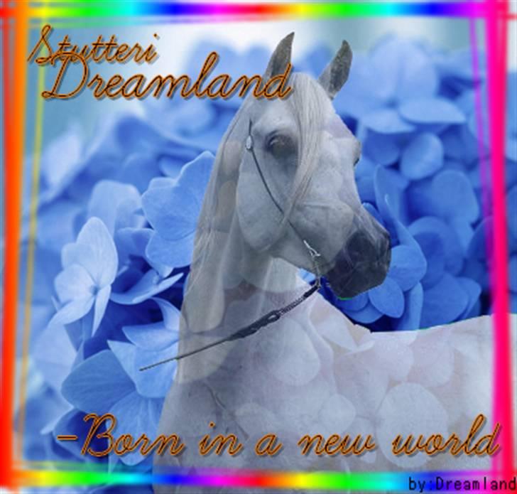 Billeder jeg har lavet  billede 21