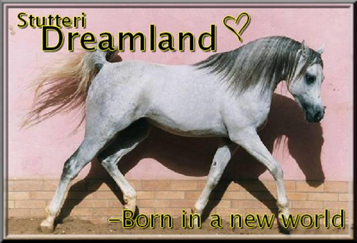 Billeder jeg har lavet  billede 22