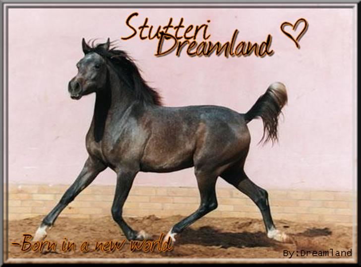 Billeder jeg har lavet  billede 23