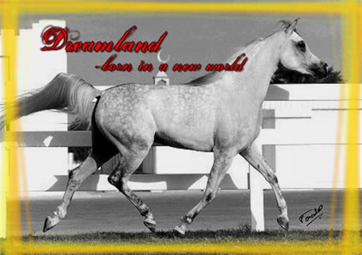 Billeder jeg har lavet  billede 24