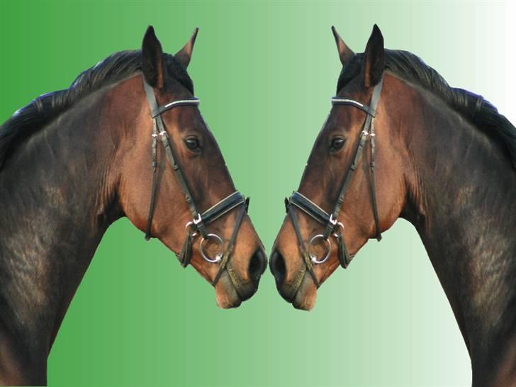 Til min veninde billede 1