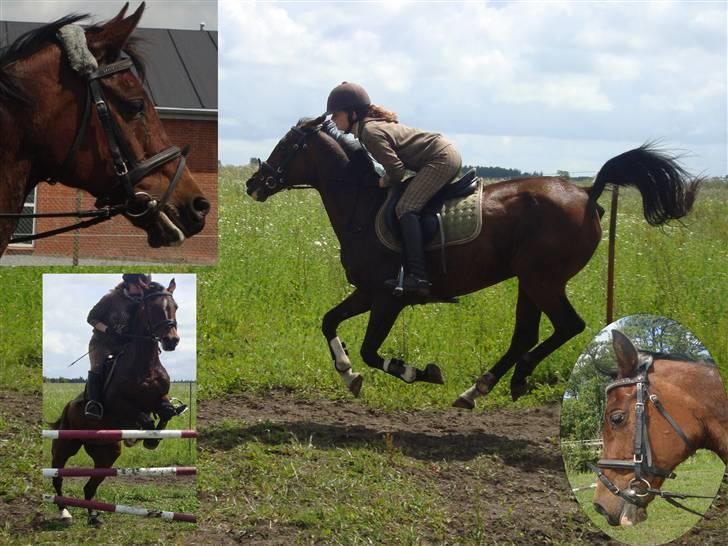 Til min veninde billede 2