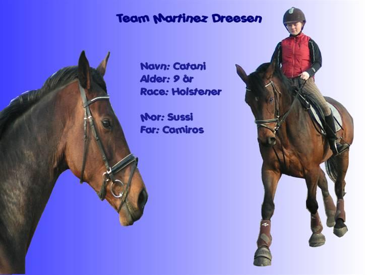 Til min veninde billede 3