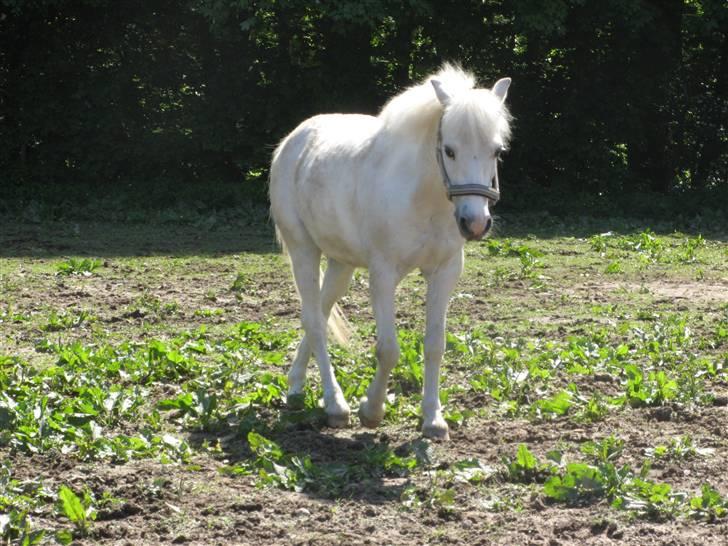 Frække fredrik - Hej her kommer frække frederik billede 11