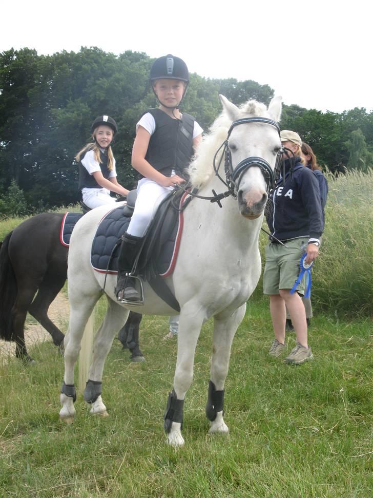 Frække fredrik - Søde frede og  hans ejer kirstine til deres første stævne og fik en sløjfe :) billede 14