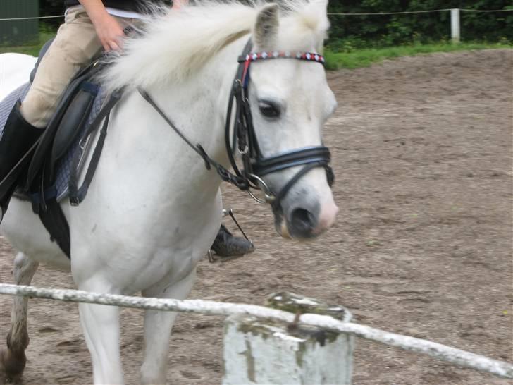 Frække fredrik - Frede suser afsted billede 21