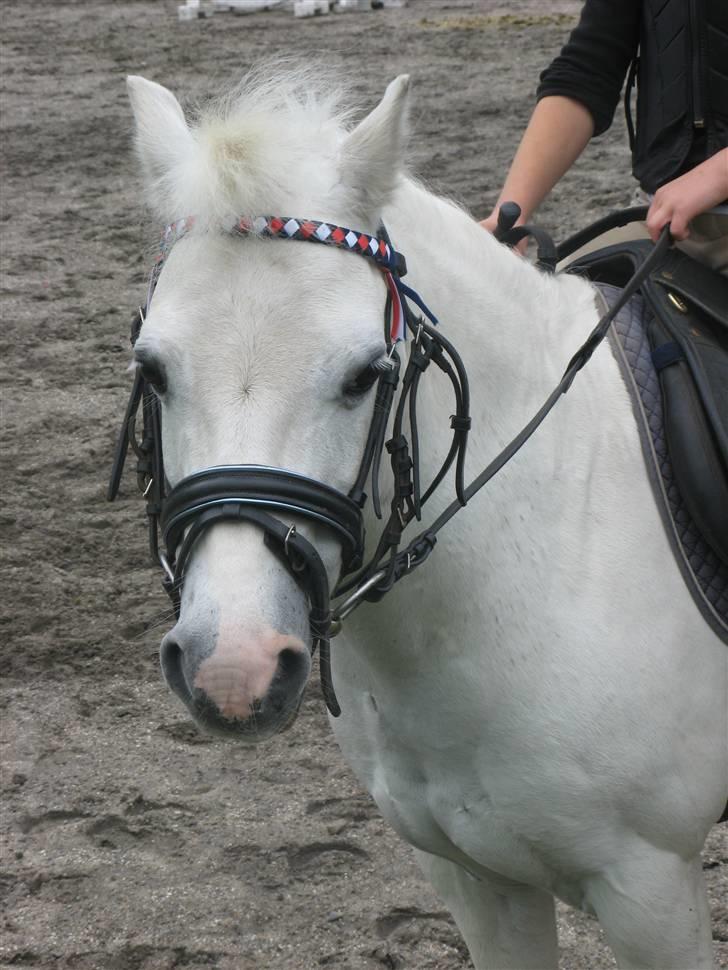 Frække fredrik - Hej  frede billede 22