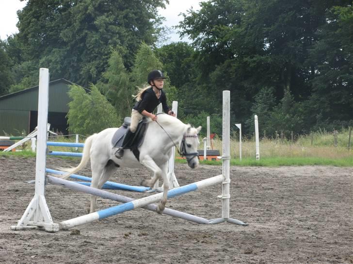 Frække fredrik - Frede og kirstine flyvende over krydset billede 24