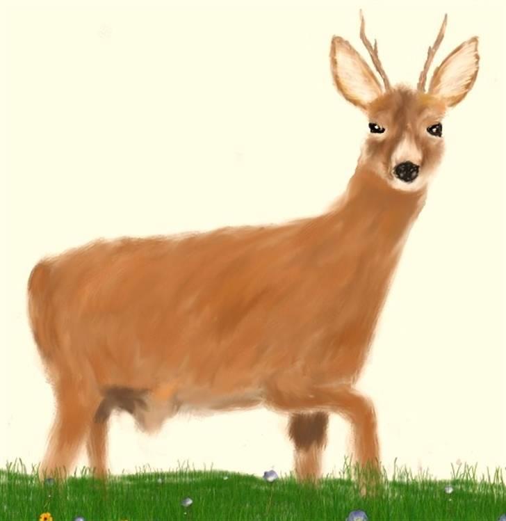 Mine Tegninger - Sad og kedede mig og kigge ud af vinduet da en hjort kom forbi... billede 4