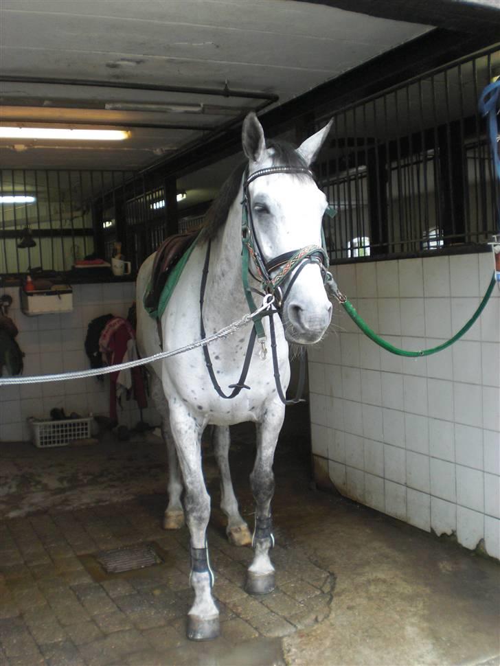 På besøg hos Peter Flarup billede 3