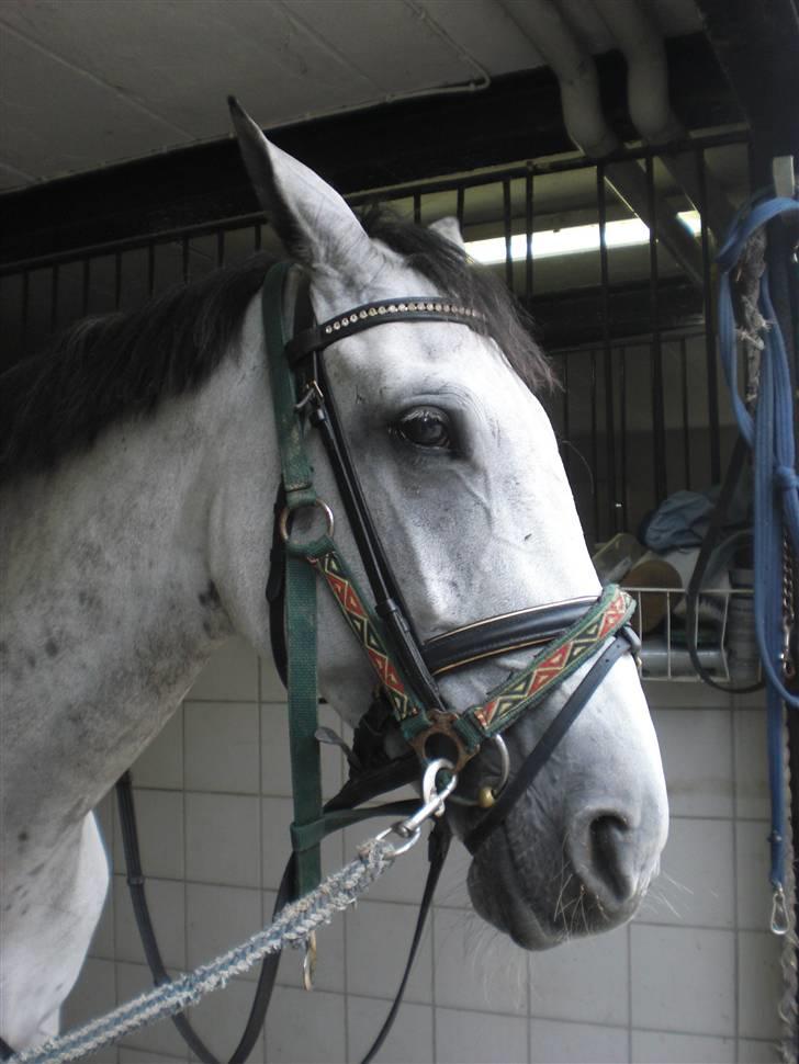 På besøg hos Peter Flarup billede 4