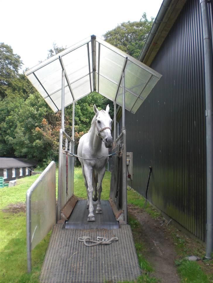 På besøg hos Peter Flarup billede 1