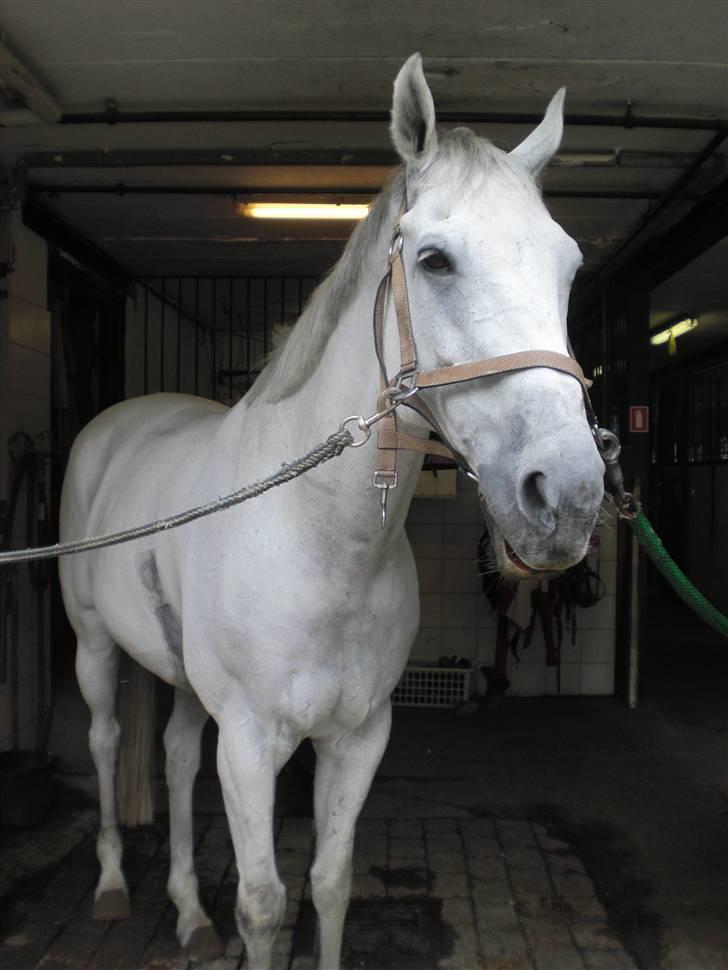 På besøg hos Peter Flarup billede 5