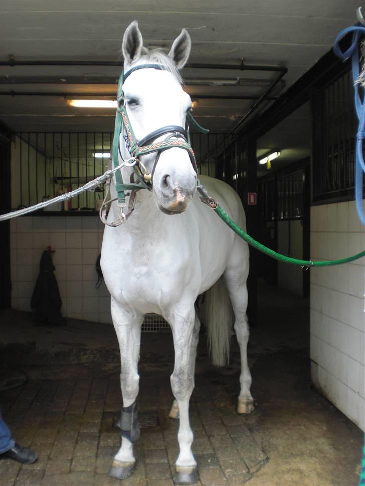 På besøg hos Peter Flarup billede 10