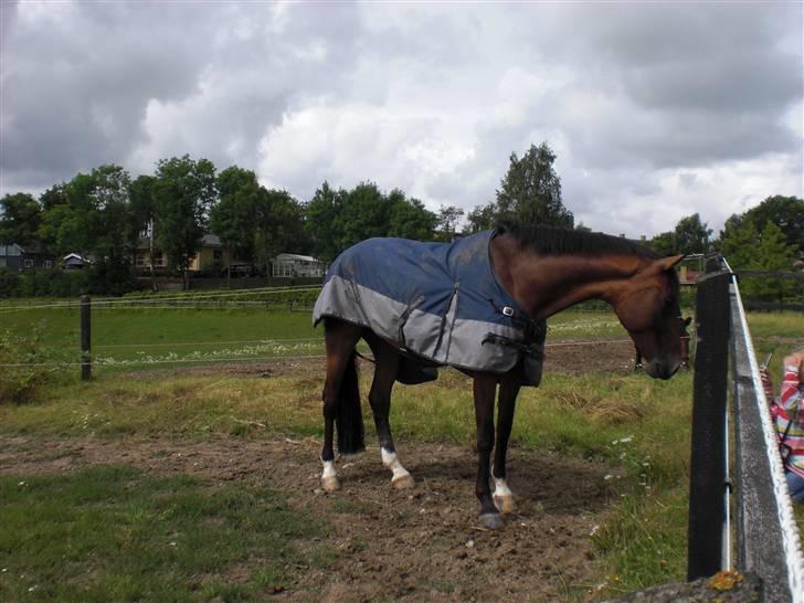 På besøg hos Peter Flarup billede 17