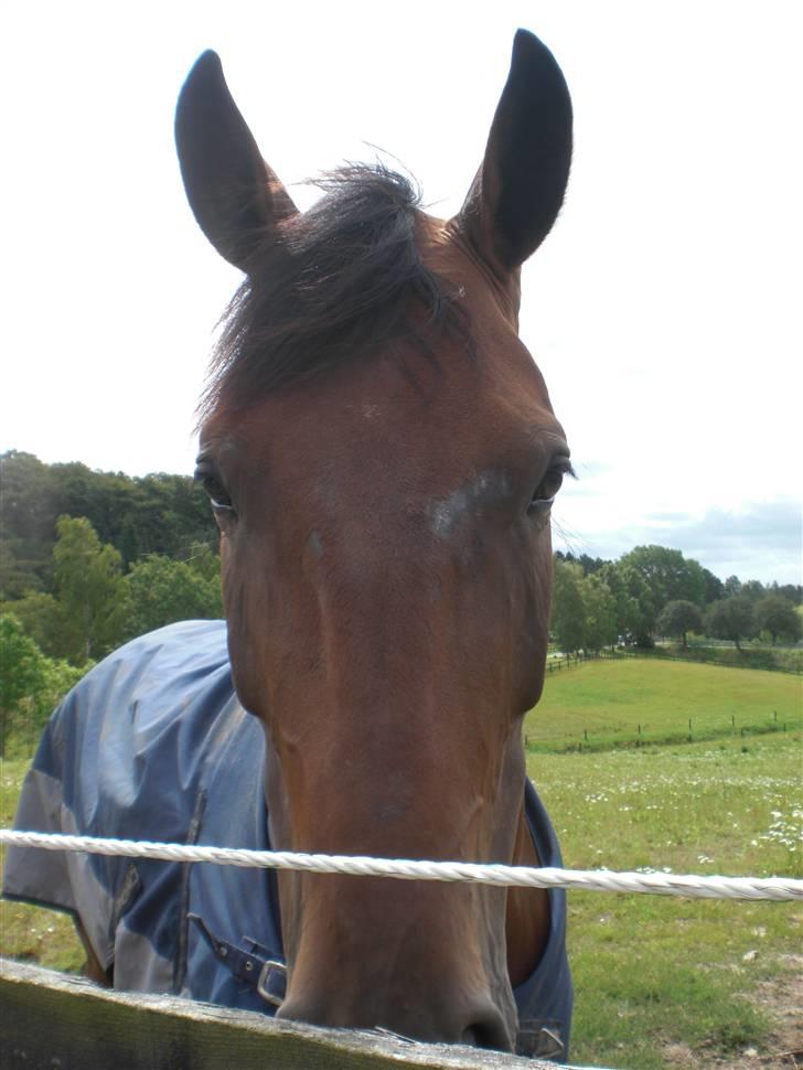 På besøg hos Peter Flarup billede 22