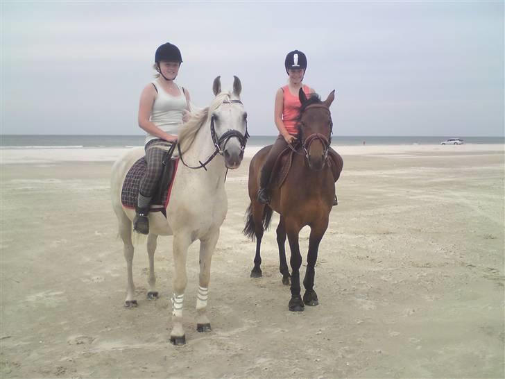 Strand tur til børsmose billede 1