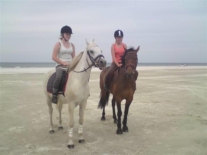 Strand tur til børsmose billede 2