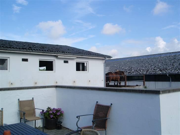 Nordjysk Ridecenter billede 7