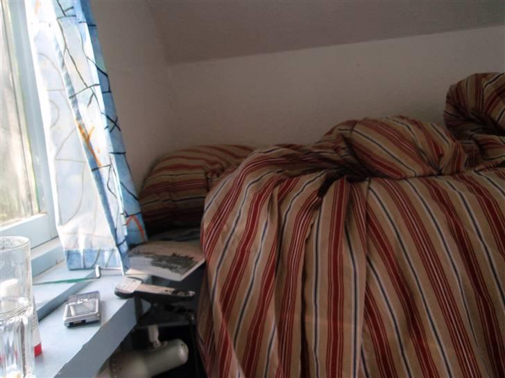 Nordjysk Ridecenter billede 10