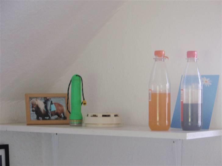 Nordjysk Ridecenter billede 11