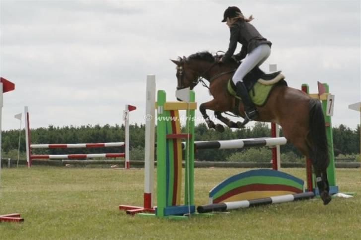 13.Juni - RØK - Arquette & Sun Shine billede 1