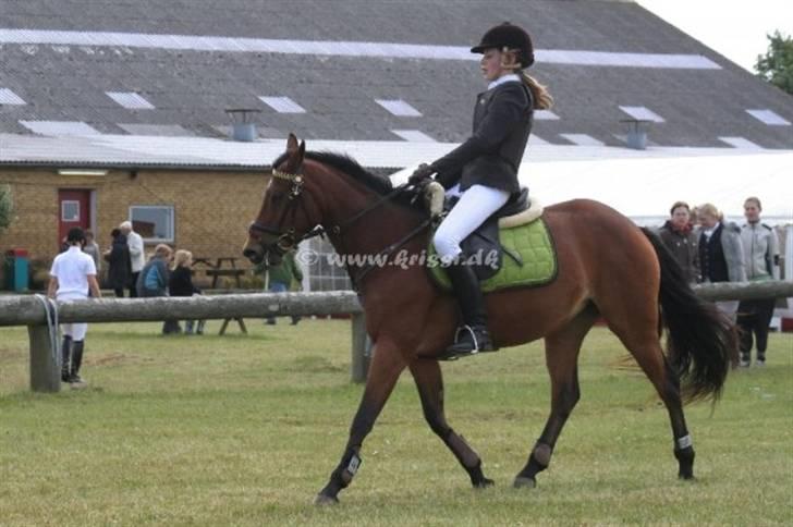 13.Juni - RØK - Arquette & Sun Shine billede 3