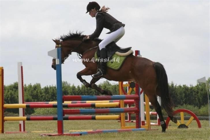 13.Juni - RØK - Arquette & Sun Shine billede 2