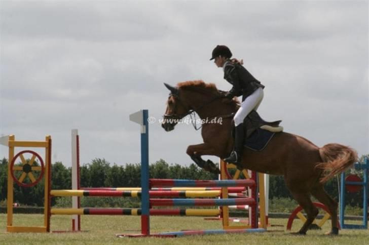 13.Juni - RØK - Arquette & Sun Shine - Sun Shine billede 4