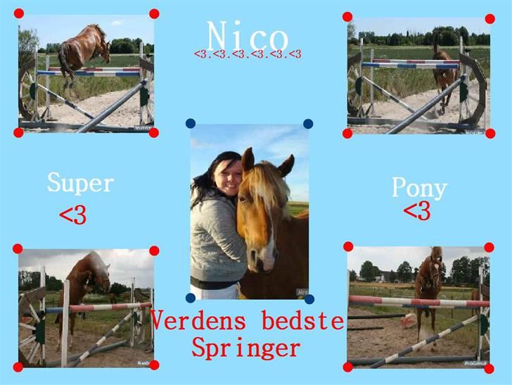 Hej laver billeder til jer :D er de pæne? - 4. nico billede 4