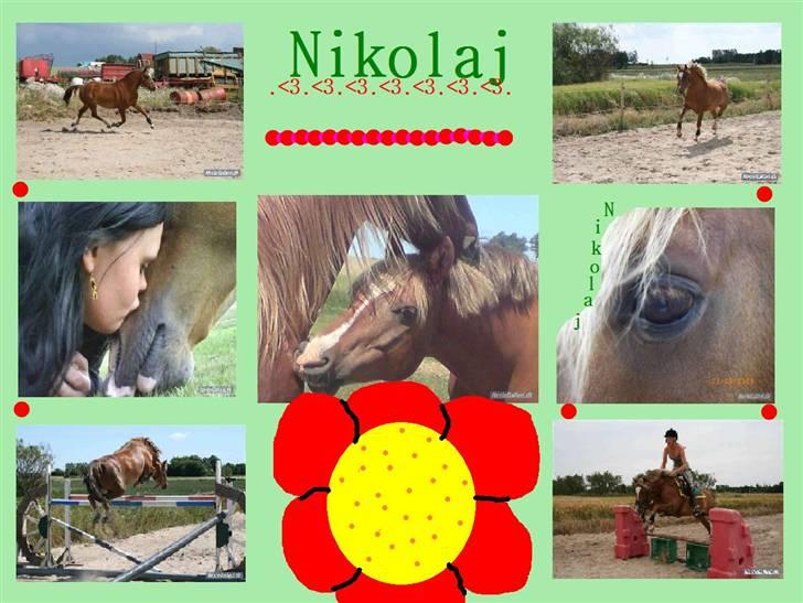 Hej laver billeder til jer :D er de pæne? - 5. nikolaj billede 5