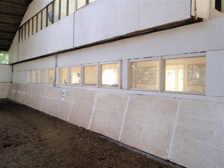 Nordjysk Ridecenter billede 14