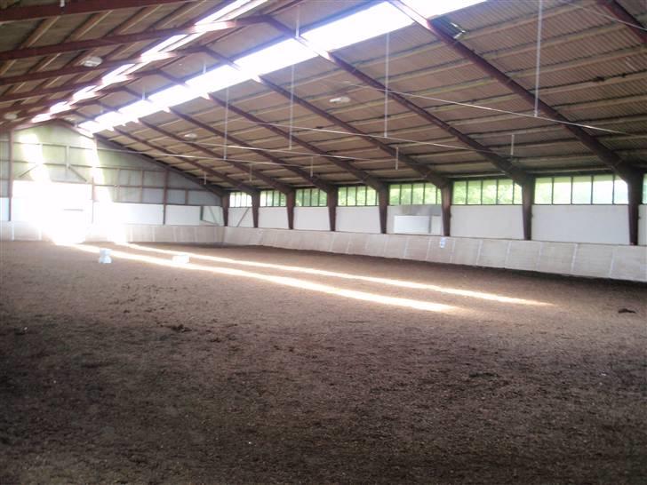 Nordjysk Ridecenter billede 15