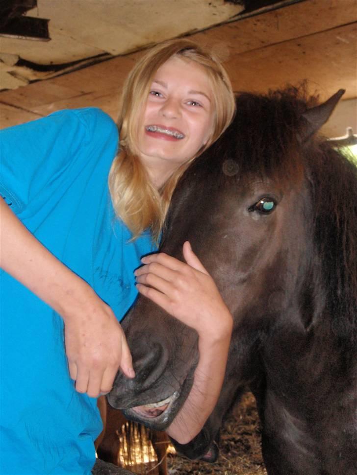 Nordjysk Ridecenter billede 18