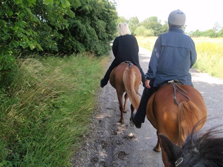 Nordjysk Ridecenter billede 22