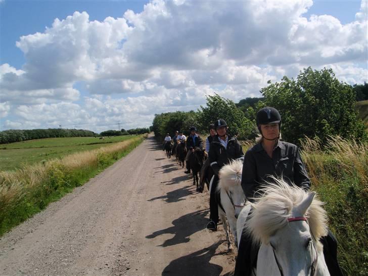 Nordjysk Ridecenter billede 23