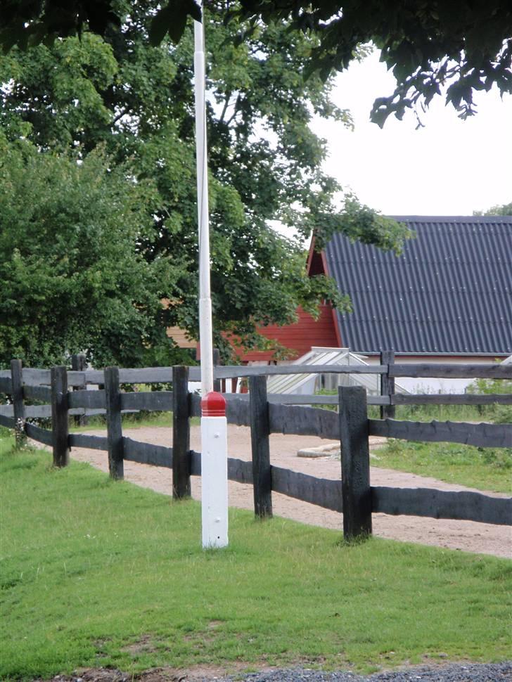 Nordjysk Ridecenter billede 31