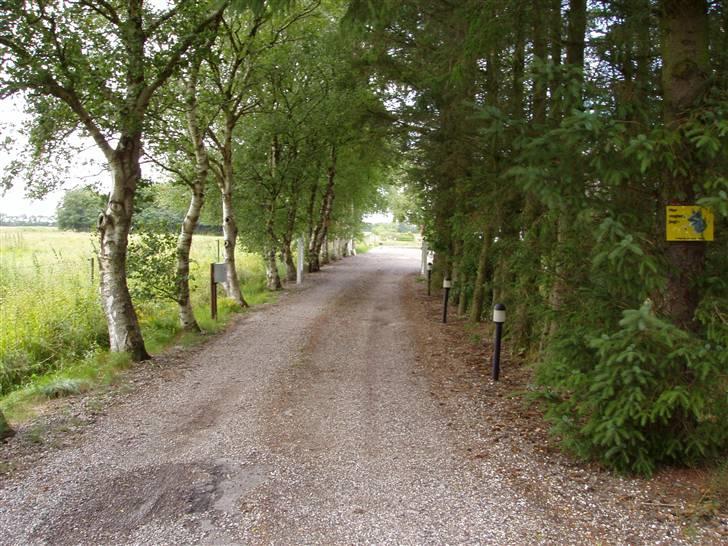 Vores ferie på "nissebo" :) - Indkørslen :) billede 5