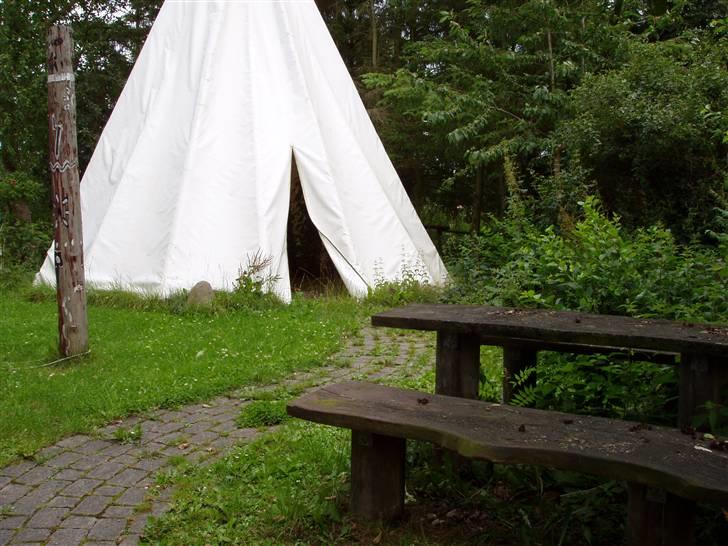 Vores ferie på "nissebo" :) - Tippien, totæmpælen og bænken i haven :) billede 10