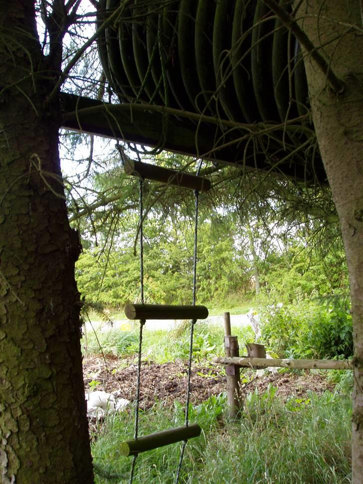 Vores ferie på "nissebo" :) - Rutchebanerøret i haven :) billede 12