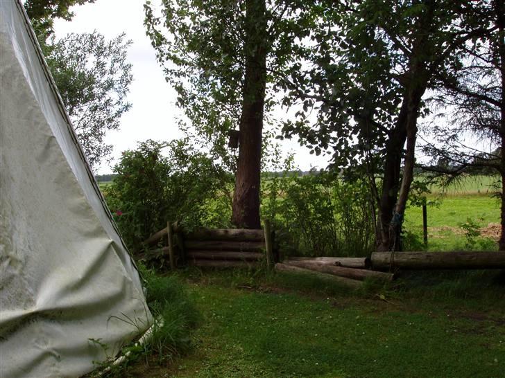 Vores ferie på "nissebo" :) - Bag ved tippien :) billede 15