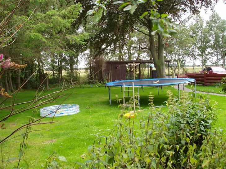 Vores ferie på "nissebo" :) - Noget af haven :) billede 16