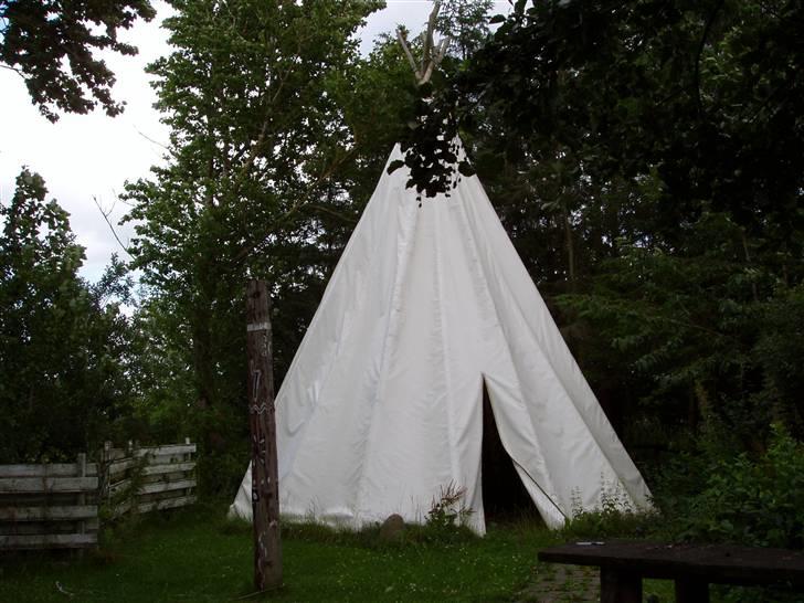 Vores ferie på "nissebo" :) billede 23