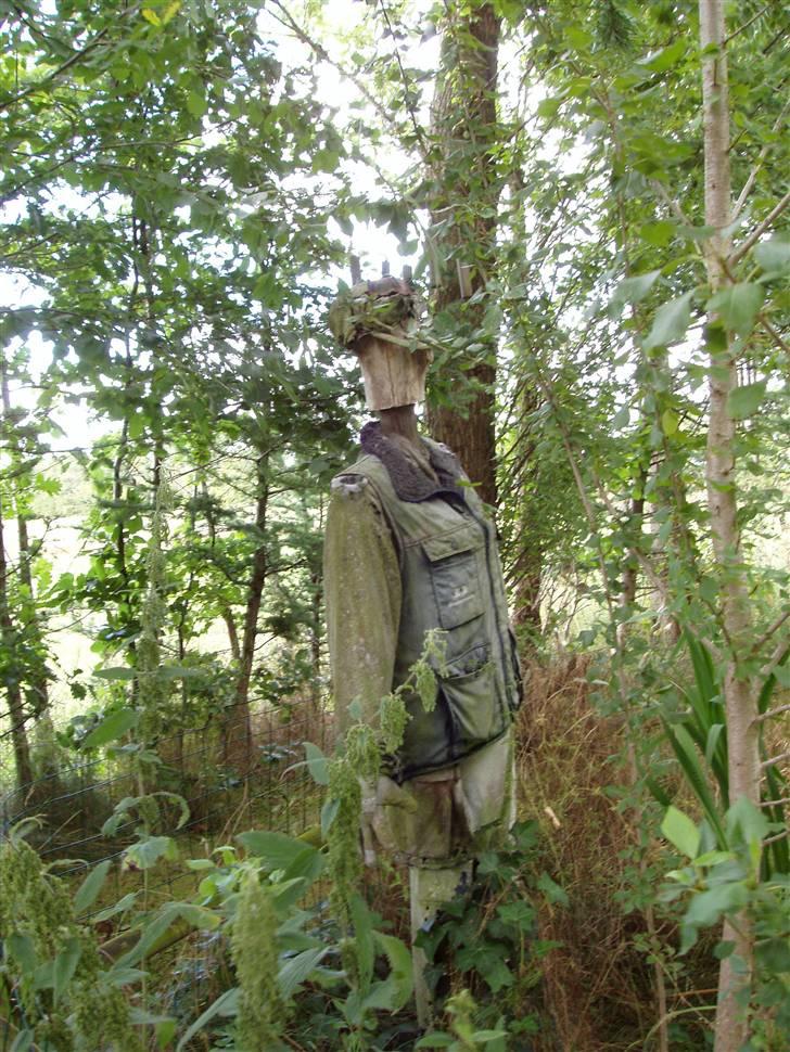 Vores ferie på "nissebo" :) - Fugleskræmslet, som trænger til noget nyt tøj..
han jager diverse fugle væk, så guldfiskene kan være i fred :) billede 25