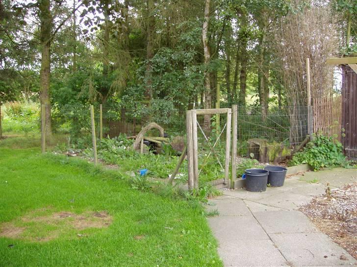 Vores ferie på "nissebo" :) - Hundegården i haven, med "hule-hunde-hus" i :) billede 29