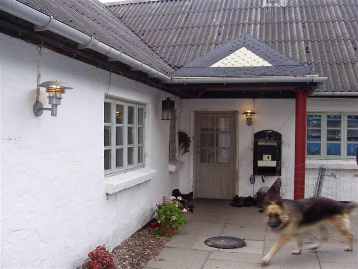 Vores ferie på "nissebo" :) - Hovededøren, og linselusen bondo ;) billede 31