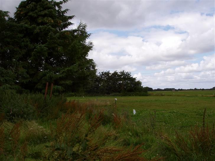 Vores ferie på "nissebo" :) - Noget af folden :) billede 33