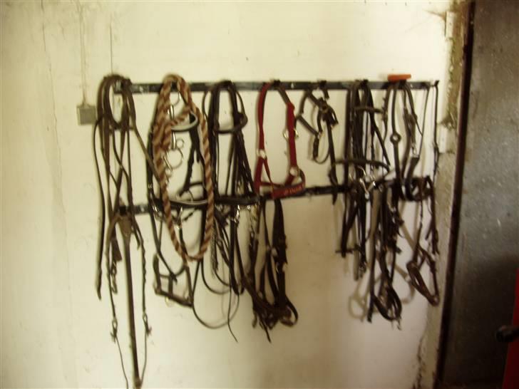 Vores ferie på "nissebo" :) - Noget af sadelrummet/fyrrummet. billede 37